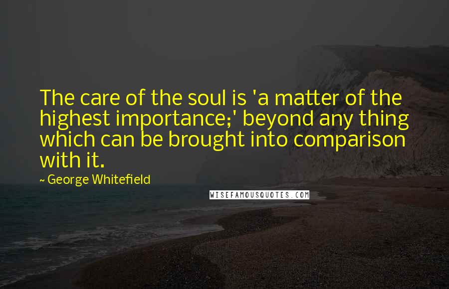 George Whitefield Quotes: The care of the soul is 'a matter of the highest importance;' beyond any thing which can be brought into comparison with it.