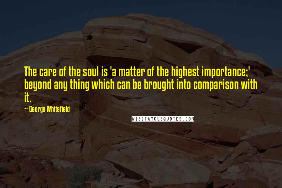 George Whitefield Quotes: The care of the soul is 'a matter of the highest importance;' beyond any thing which can be brought into comparison with it.