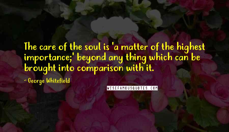 George Whitefield Quotes: The care of the soul is 'a matter of the highest importance;' beyond any thing which can be brought into comparison with it.