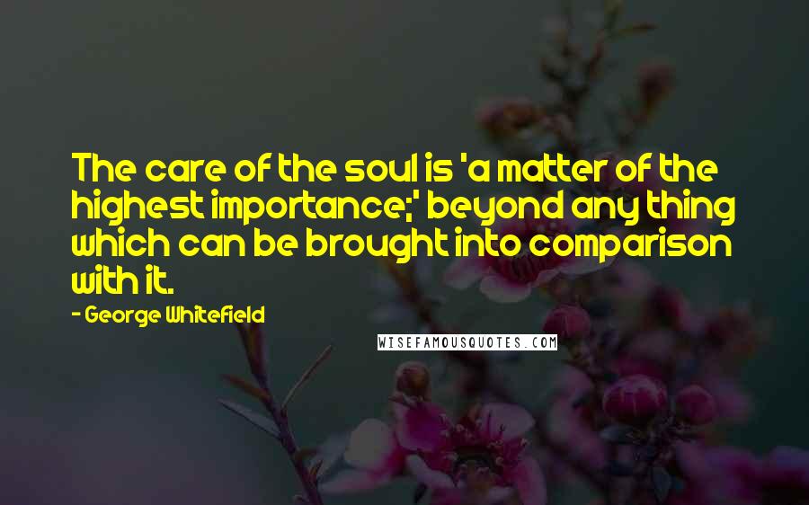 George Whitefield Quotes: The care of the soul is 'a matter of the highest importance;' beyond any thing which can be brought into comparison with it.