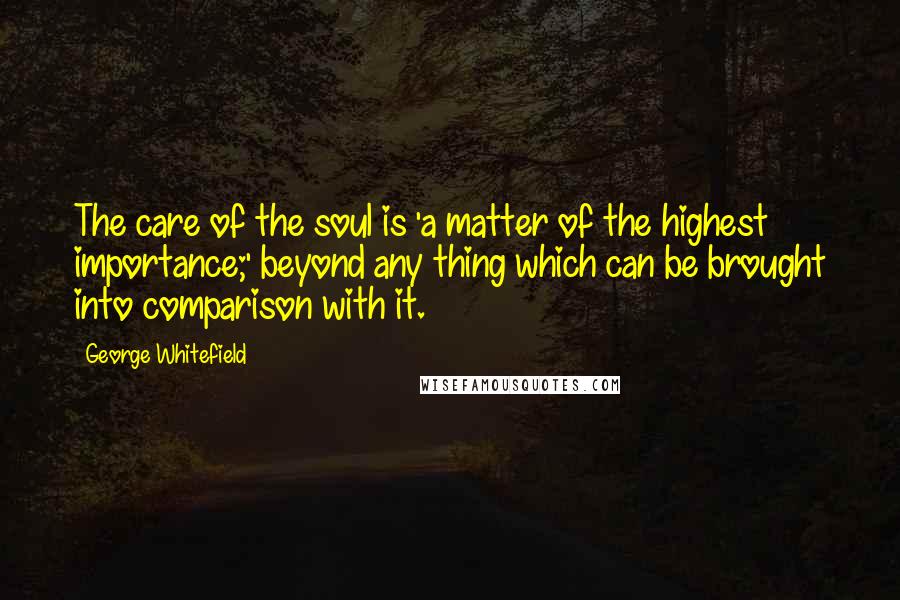 George Whitefield Quotes: The care of the soul is 'a matter of the highest importance;' beyond any thing which can be brought into comparison with it.