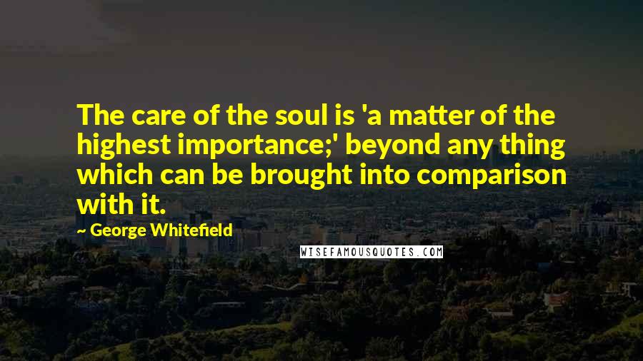 George Whitefield Quotes: The care of the soul is 'a matter of the highest importance;' beyond any thing which can be brought into comparison with it.