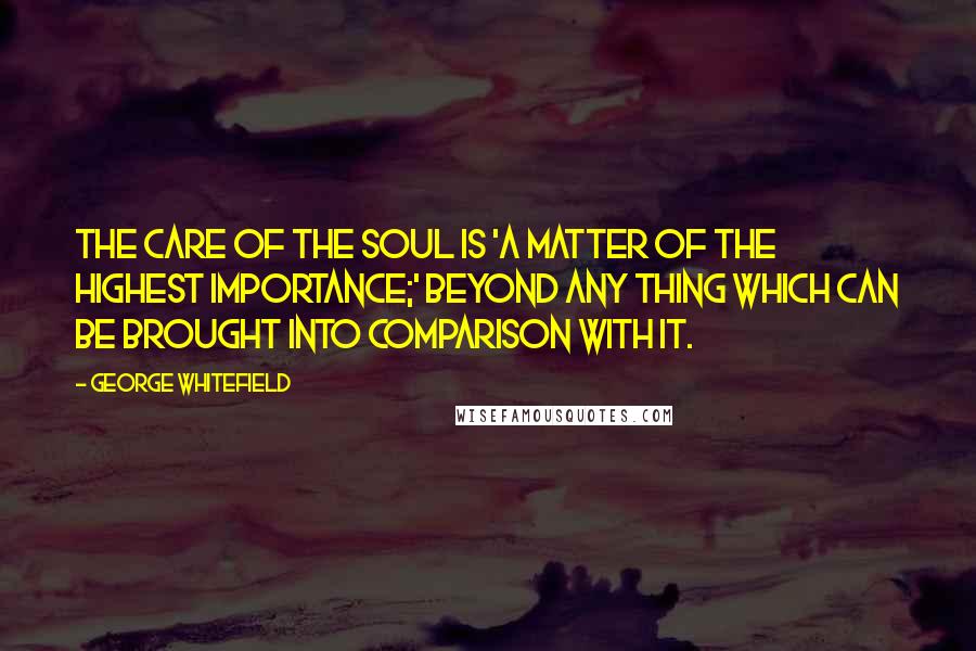 George Whitefield Quotes: The care of the soul is 'a matter of the highest importance;' beyond any thing which can be brought into comparison with it.