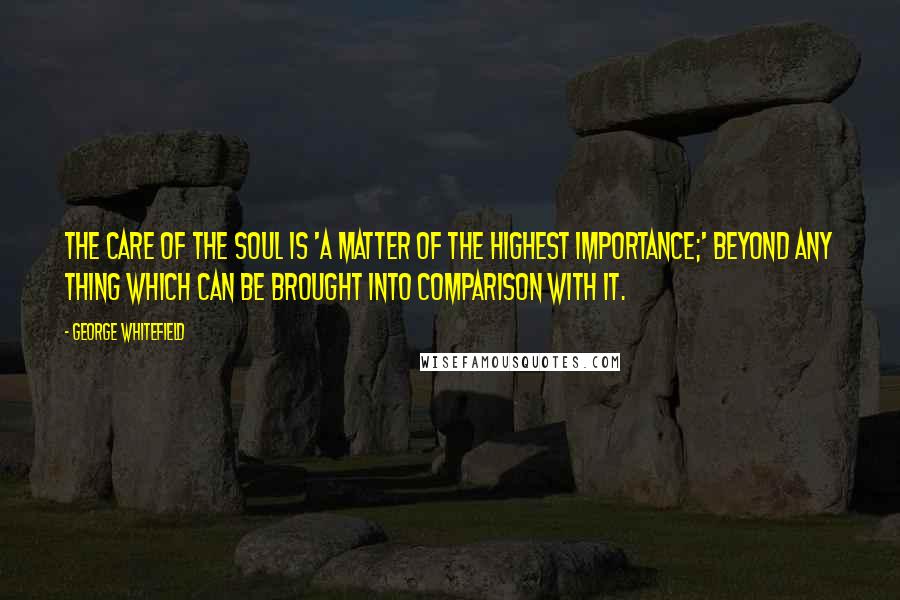 George Whitefield Quotes: The care of the soul is 'a matter of the highest importance;' beyond any thing which can be brought into comparison with it.