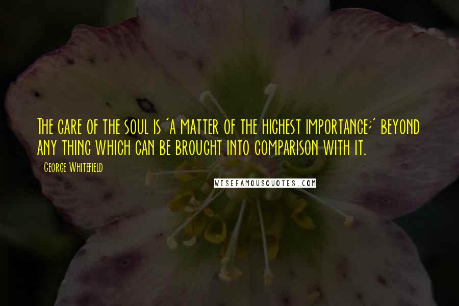 George Whitefield Quotes: The care of the soul is 'a matter of the highest importance;' beyond any thing which can be brought into comparison with it.