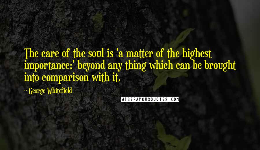 George Whitefield Quotes: The care of the soul is 'a matter of the highest importance;' beyond any thing which can be brought into comparison with it.