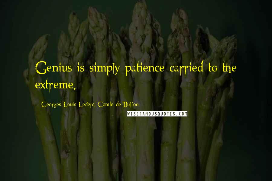 Georges-Louis Leclerc, Comte De Buffon Quotes: Genius is simply patience carried to the extreme.