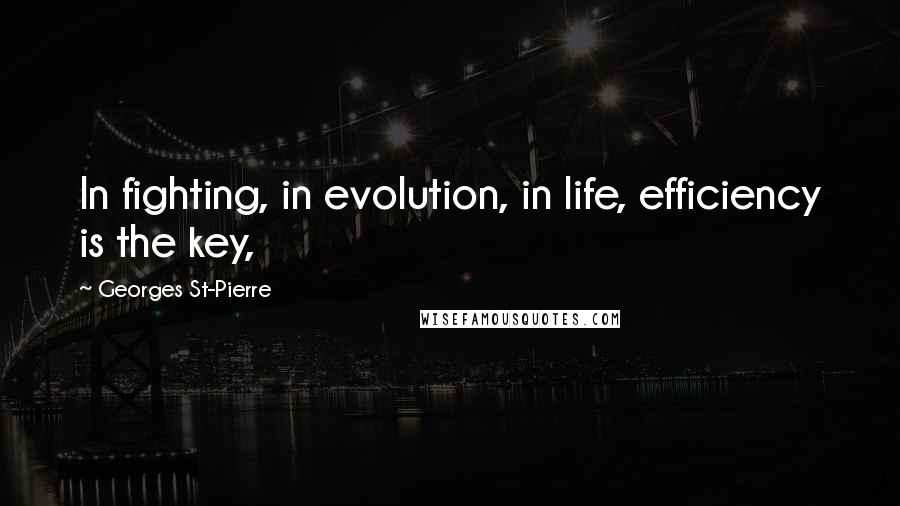 Georges St-Pierre Quotes: In fighting, in evolution, in life, efficiency is the key,