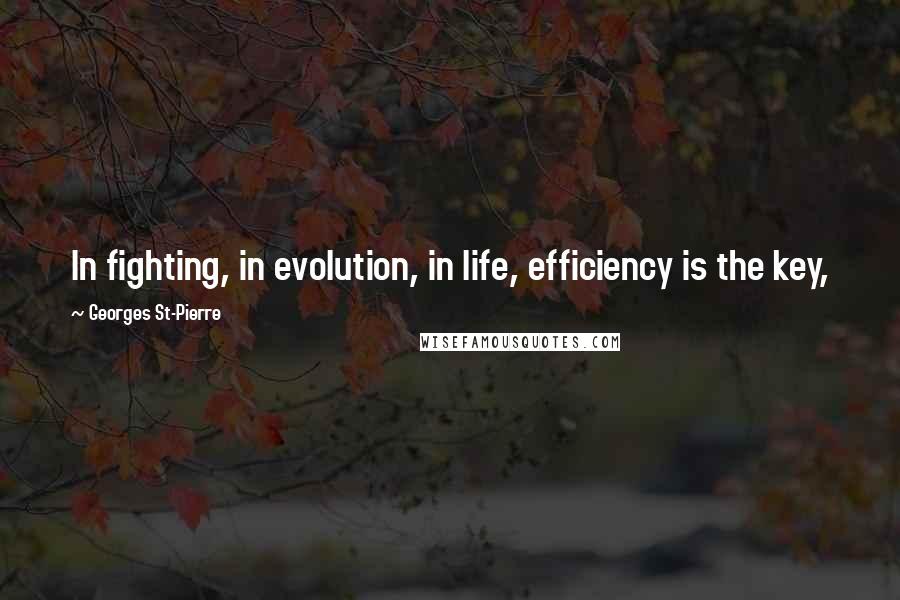 Georges St-Pierre Quotes: In fighting, in evolution, in life, efficiency is the key,