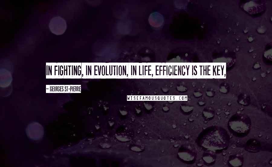 Georges St-Pierre Quotes: In fighting, in evolution, in life, efficiency is the key,