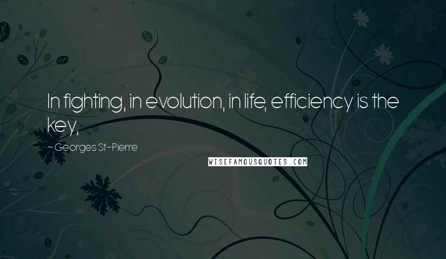 Georges St-Pierre Quotes: In fighting, in evolution, in life, efficiency is the key,