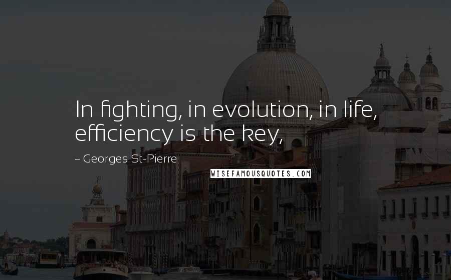 Georges St-Pierre Quotes: In fighting, in evolution, in life, efficiency is the key,