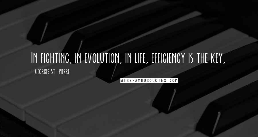 Georges St-Pierre Quotes: In fighting, in evolution, in life, efficiency is the key,