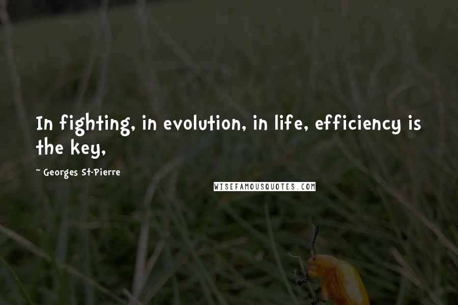 Georges St-Pierre Quotes: In fighting, in evolution, in life, efficiency is the key,