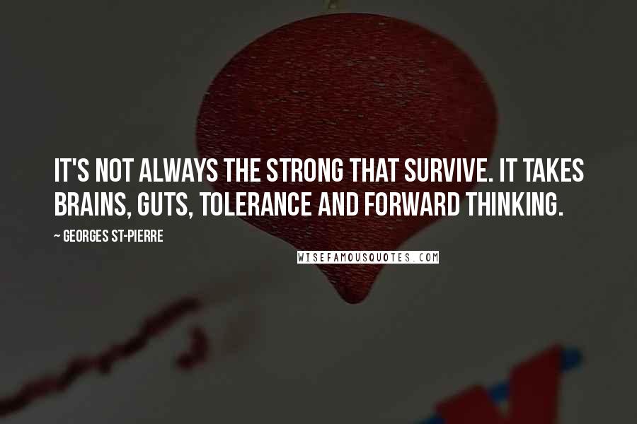 Georges St-Pierre Quotes: It's not always the strong that survive. It takes brains, guts, tolerance and forward thinking.