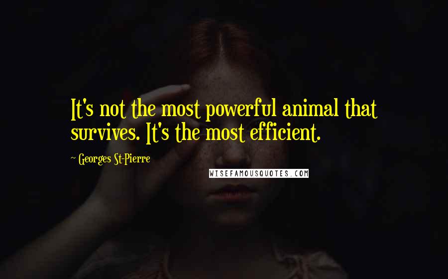 Georges St-Pierre Quotes: It's not the most powerful animal that survives. It's the most efficient.