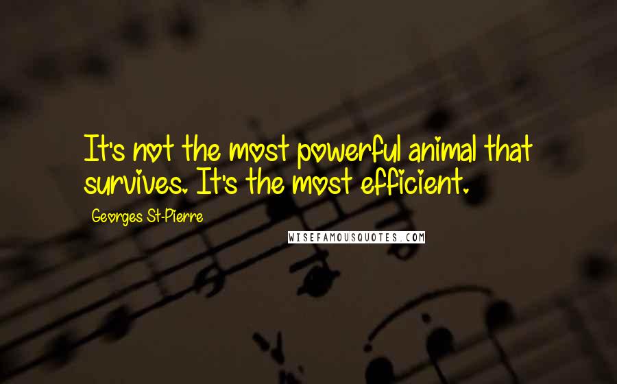 Georges St-Pierre Quotes: It's not the most powerful animal that survives. It's the most efficient.