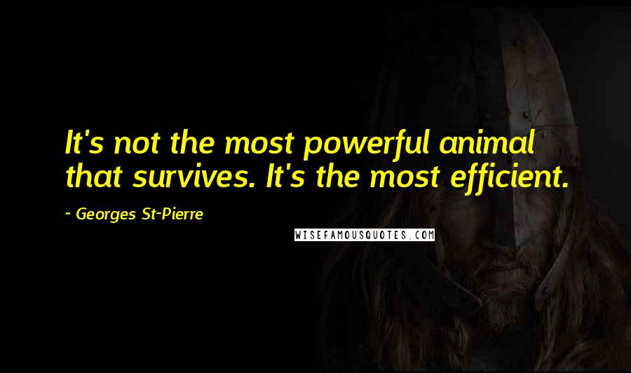 Georges St-Pierre Quotes: It's not the most powerful animal that survives. It's the most efficient.