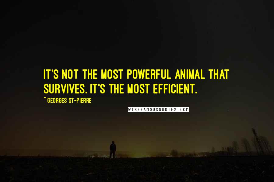 Georges St-Pierre Quotes: It's not the most powerful animal that survives. It's the most efficient.