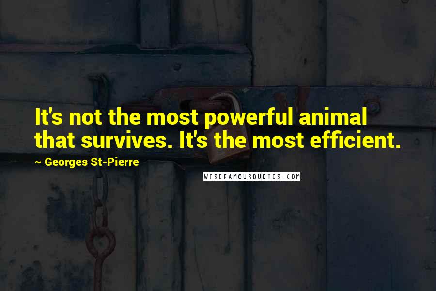 Georges St-Pierre Quotes: It's not the most powerful animal that survives. It's the most efficient.