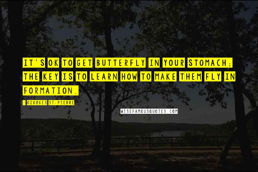 Georges St-Pierre Quotes: It's OK to get butterfly in your stomach; the key is to learn how to make them fly in formation.