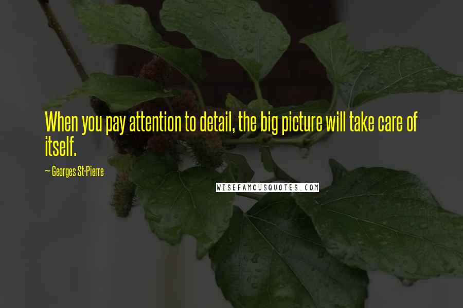 Georges St-Pierre Quotes: When you pay attention to detail, the big picture will take care of itself.