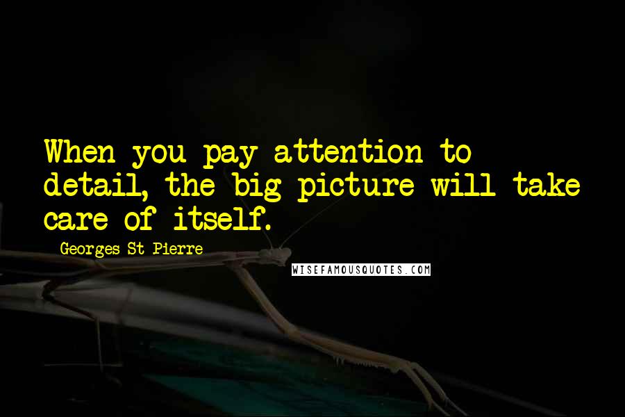 Georges St-Pierre Quotes: When you pay attention to detail, the big picture will take care of itself.