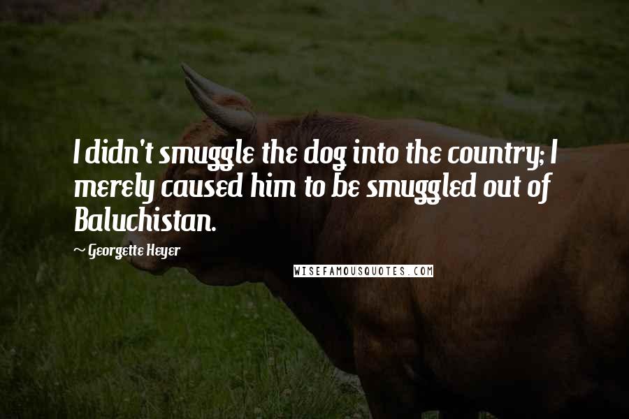 Georgette Heyer Quotes: I didn't smuggle the dog into the country; I merely caused him to be smuggled out of Baluchistan.