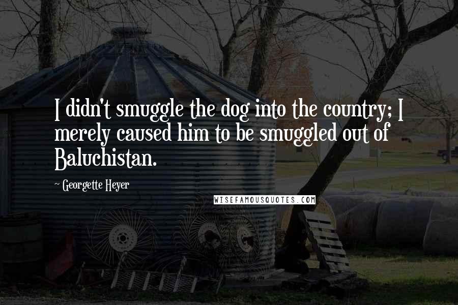 Georgette Heyer Quotes: I didn't smuggle the dog into the country; I merely caused him to be smuggled out of Baluchistan.