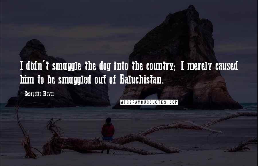 Georgette Heyer Quotes: I didn't smuggle the dog into the country; I merely caused him to be smuggled out of Baluchistan.