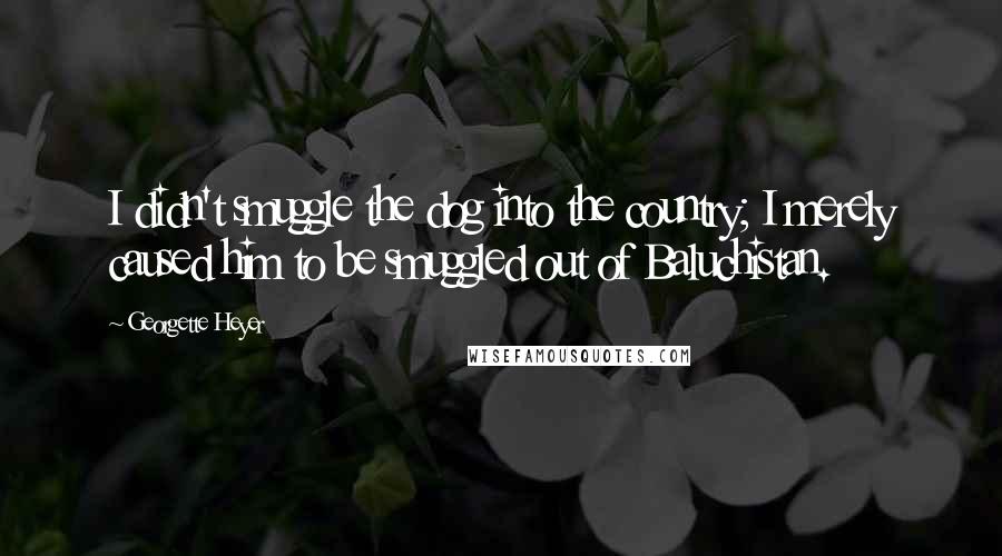 Georgette Heyer Quotes: I didn't smuggle the dog into the country; I merely caused him to be smuggled out of Baluchistan.