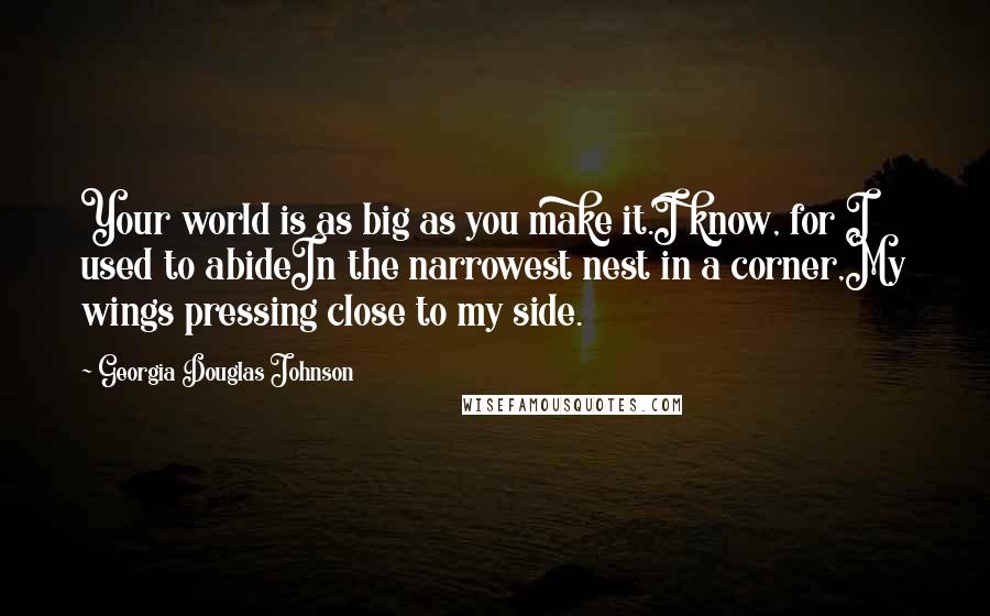 Georgia Douglas Johnson Quotes: Your world is as big as you make it.I know, for I used to abideIn the narrowest nest in a corner,My wings pressing close to my side.