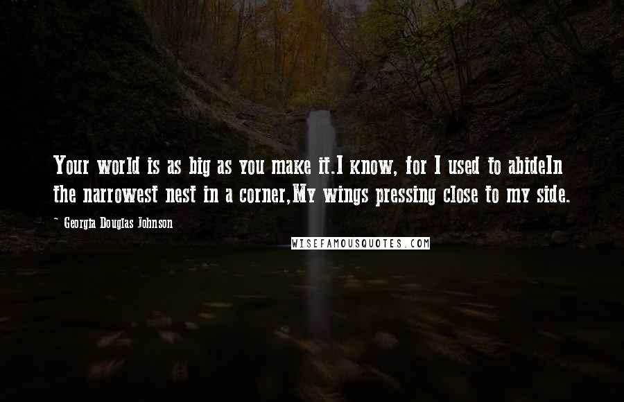 Georgia Douglas Johnson Quotes: Your world is as big as you make it.I know, for I used to abideIn the narrowest nest in a corner,My wings pressing close to my side.