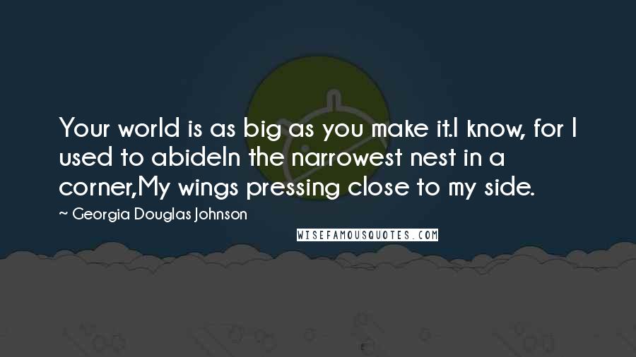 Georgia Douglas Johnson Quotes: Your world is as big as you make it.I know, for I used to abideIn the narrowest nest in a corner,My wings pressing close to my side.