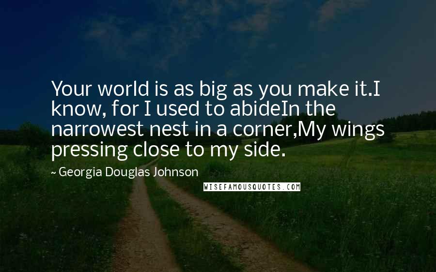 Georgia Douglas Johnson Quotes: Your world is as big as you make it.I know, for I used to abideIn the narrowest nest in a corner,My wings pressing close to my side.