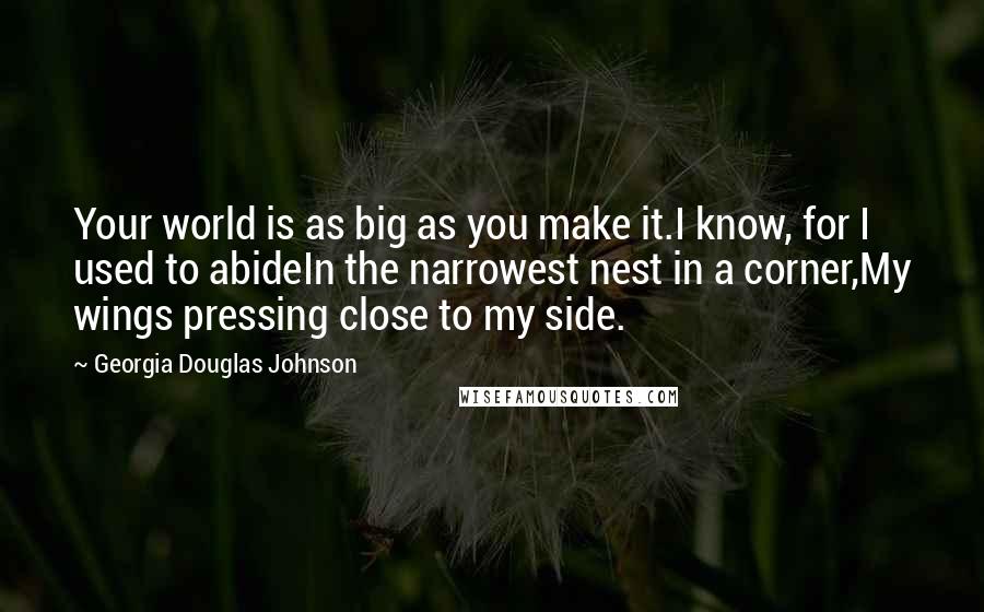 Georgia Douglas Johnson Quotes: Your world is as big as you make it.I know, for I used to abideIn the narrowest nest in a corner,My wings pressing close to my side.