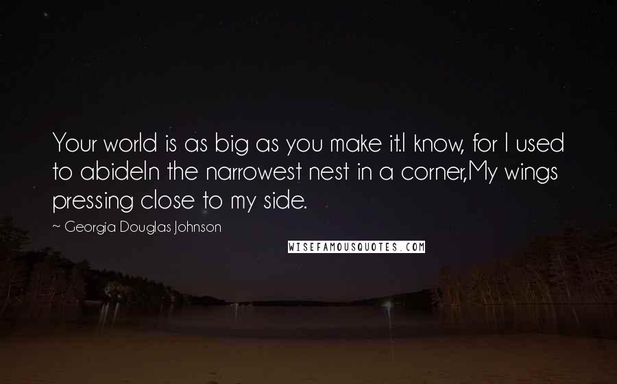 Georgia Douglas Johnson Quotes: Your world is as big as you make it.I know, for I used to abideIn the narrowest nest in a corner,My wings pressing close to my side.