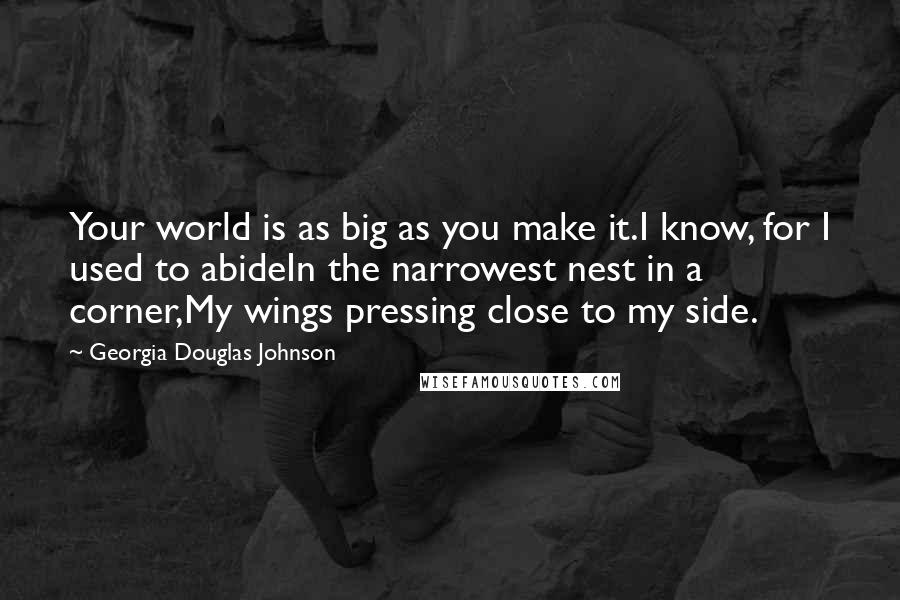 Georgia Douglas Johnson Quotes: Your world is as big as you make it.I know, for I used to abideIn the narrowest nest in a corner,My wings pressing close to my side.