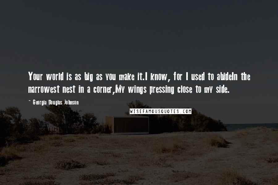 Georgia Douglas Johnson Quotes: Your world is as big as you make it.I know, for I used to abideIn the narrowest nest in a corner,My wings pressing close to my side.