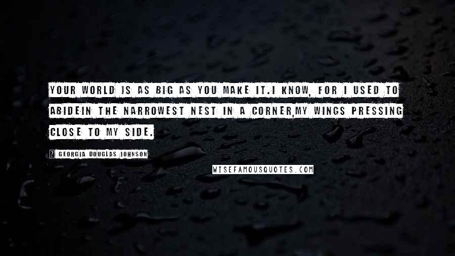 Georgia Douglas Johnson Quotes: Your world is as big as you make it.I know, for I used to abideIn the narrowest nest in a corner,My wings pressing close to my side.