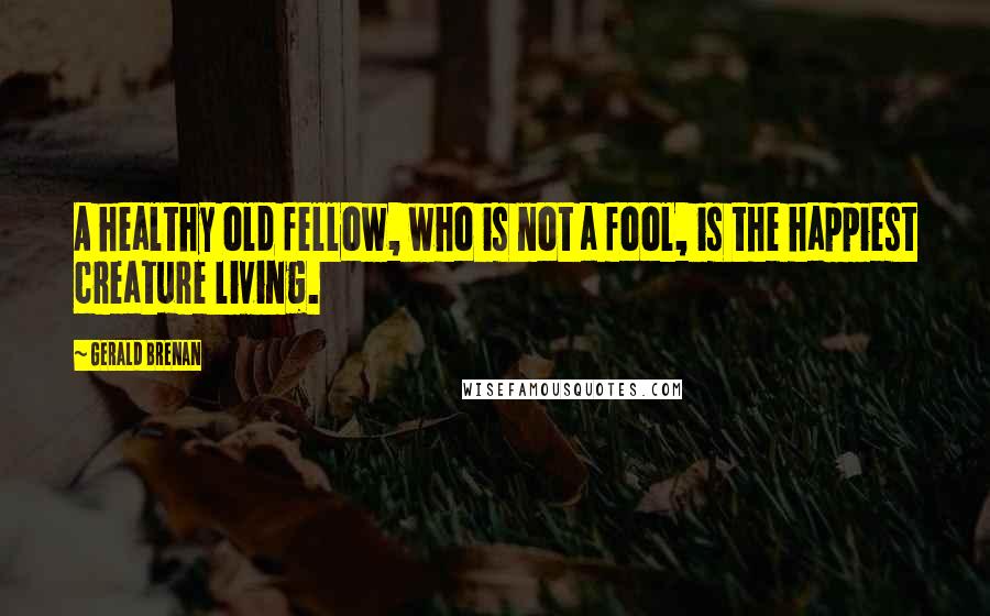 Gerald Brenan Quotes: A healthy old fellow, who is not a fool, is the happiest creature living.