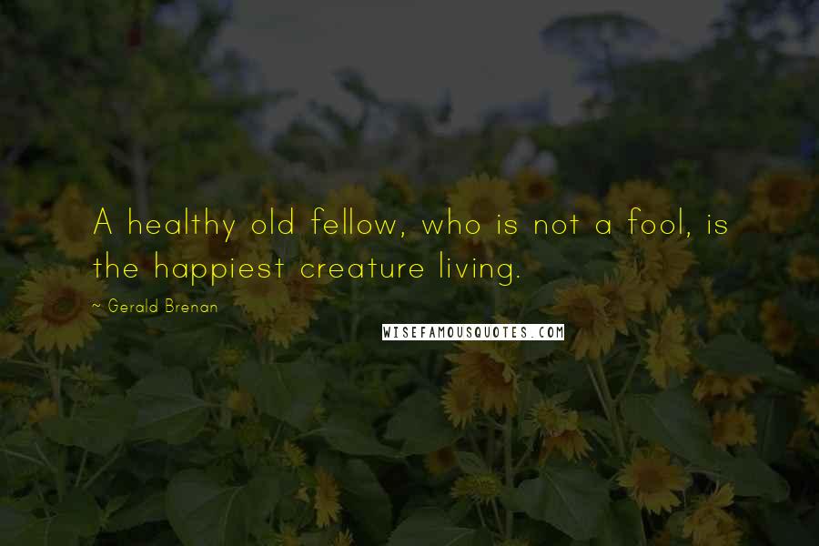 Gerald Brenan Quotes: A healthy old fellow, who is not a fool, is the happiest creature living.