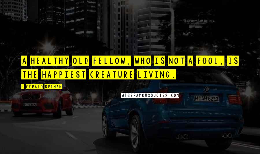 Gerald Brenan Quotes: A healthy old fellow, who is not a fool, is the happiest creature living.