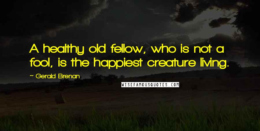 Gerald Brenan Quotes: A healthy old fellow, who is not a fool, is the happiest creature living.