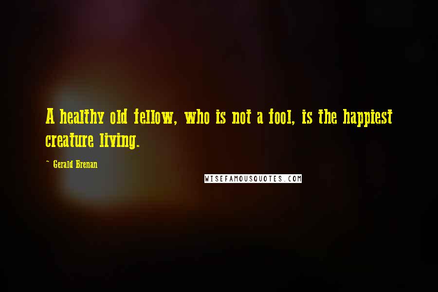 Gerald Brenan Quotes: A healthy old fellow, who is not a fool, is the happiest creature living.