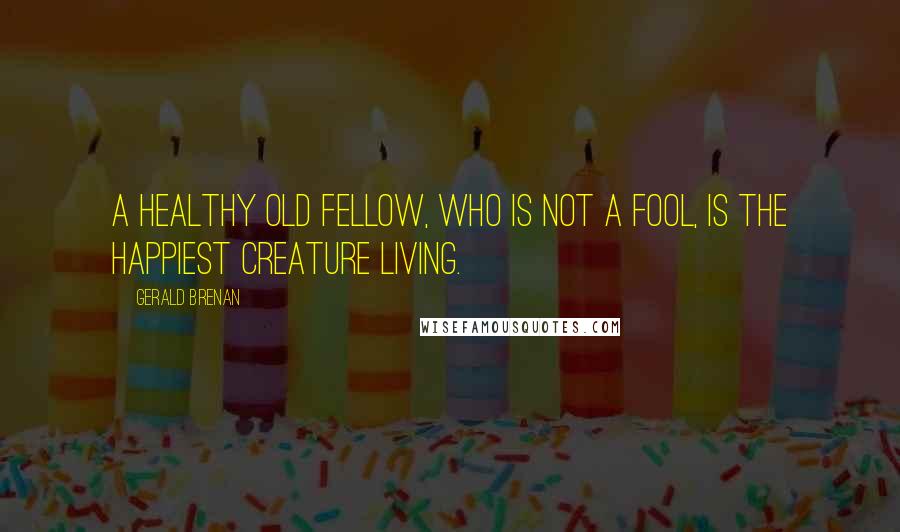 Gerald Brenan Quotes: A healthy old fellow, who is not a fool, is the happiest creature living.