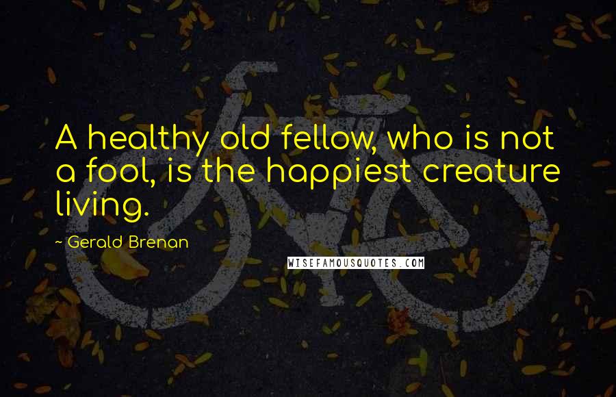 Gerald Brenan Quotes: A healthy old fellow, who is not a fool, is the happiest creature living.