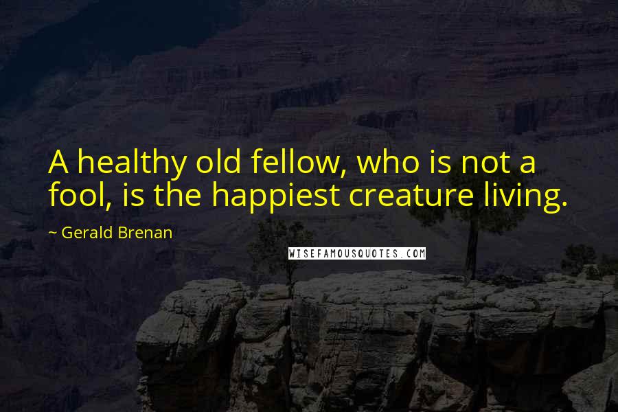 Gerald Brenan Quotes: A healthy old fellow, who is not a fool, is the happiest creature living.