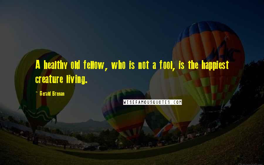 Gerald Brenan Quotes: A healthy old fellow, who is not a fool, is the happiest creature living.