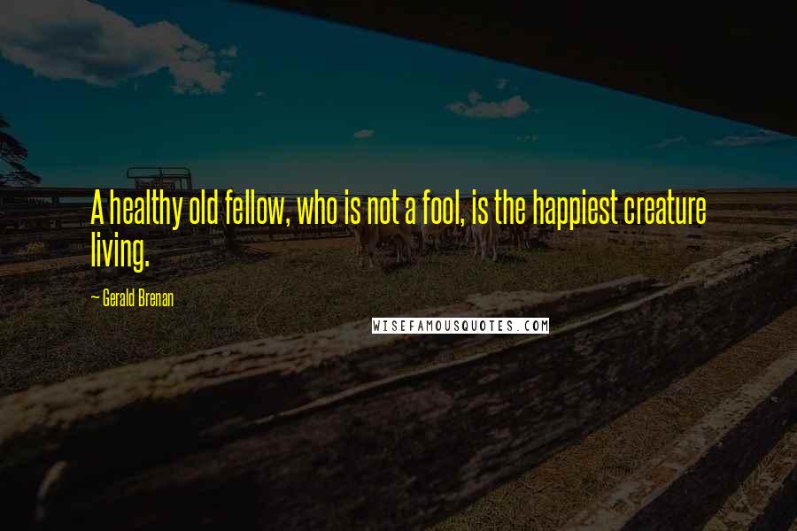 Gerald Brenan Quotes: A healthy old fellow, who is not a fool, is the happiest creature living.
